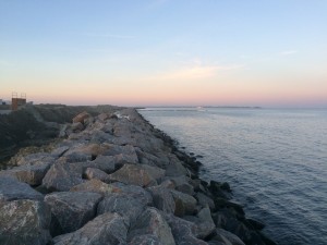 IMG_1655